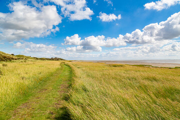 View of the beach near the sea on an island on a sunny day