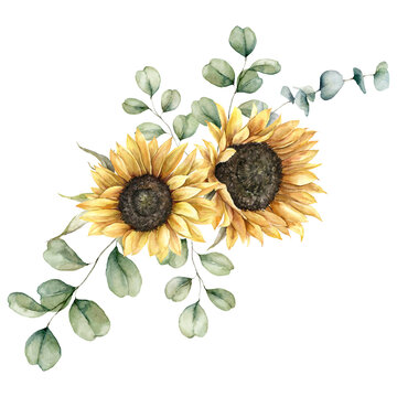 Watercolor autumn bouquet with sunflowers and eucalyptus branches. Hand painted rustic card isolated on white background. Floral illustration for design, print, fabric or background.
