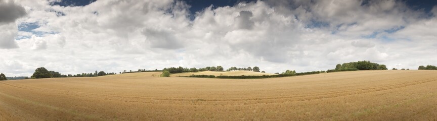 Fototapeta na wymiar countryside of oxfordshire england