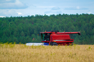 Combine harvester removes wheat. Agriculture, harvesting. Combine on a wheat field, against the...