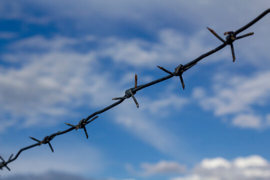 Barbed wire on a background of blue sky with clouds. Limitation of freedoms. Problems of migrants. Social problems.