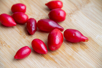 red dogwood berries on a wooden stand