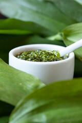 selbstgemachtes grünes Pesto aus Bärlauch, Öl, Knoblauch und Pinienkerne für Nudeln