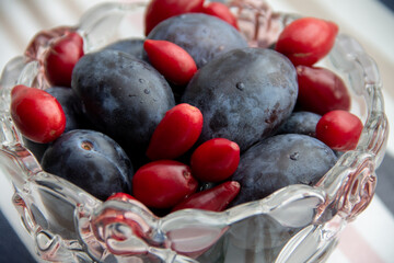 plums and red dogwood berries in a glass vase