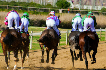 Horses race