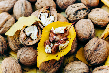 Walnuts on a background of yellow autumn leaves.
