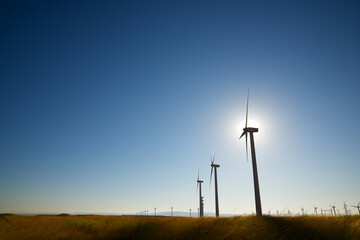 Obraz premium Sustainable wind energy