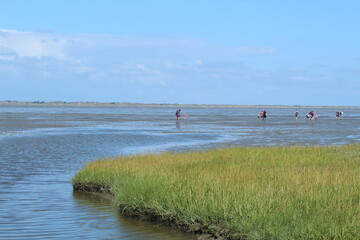 The salt marshes at Ne&szlig;mersiel, Germany (Wadden Sea)