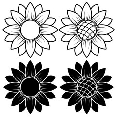 vector illustration, set of drawings of sunflowers in black, stylized drawing, template, tattoo, isolate on a white background