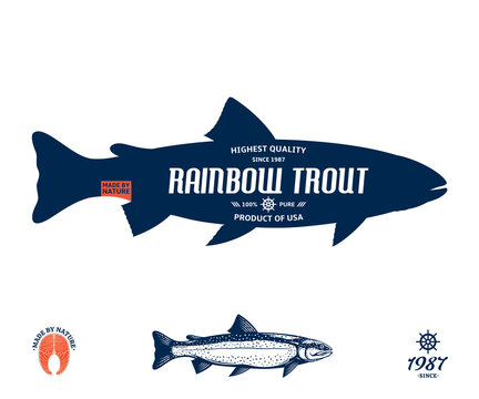 Vector rainbow trout label isolated on a white background. Trout raw steak and fish illustration