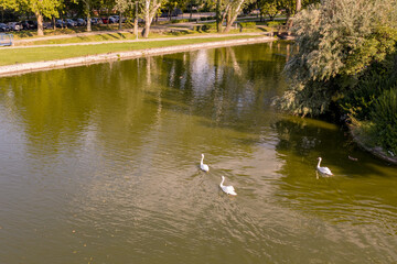 Hungary Szekesfehervar city with small lake and park
