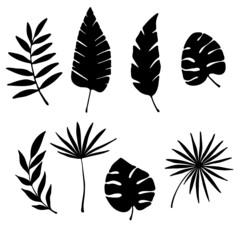 vector illustration, set of tropical leaves in black, isolate on a white background, tattoo, template