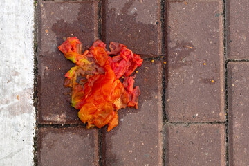 Crushed red tomato on paving slabs