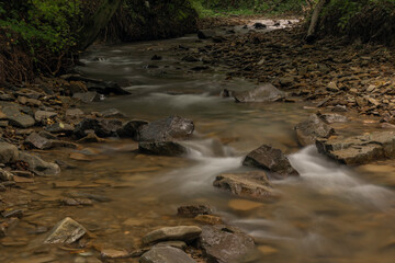 Udava river in national park Poloniny in summer monring near Osadne village