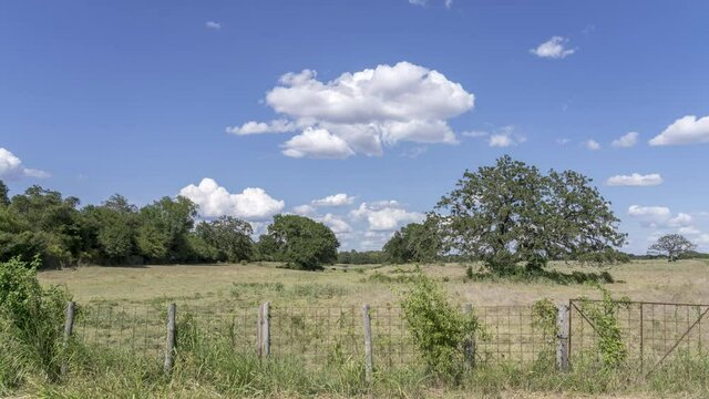  Time Lapse of Clouds Over Texas Open Land With Cows Under Trees and Closed Gate