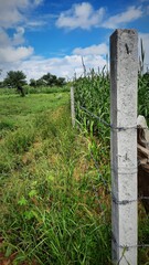 Metal wires fencing of fields to protect from animals