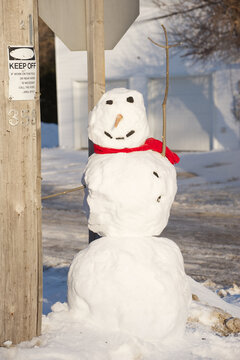 Snowman about town.
