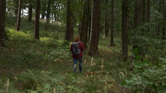 girl with a backpack is walking through the forest