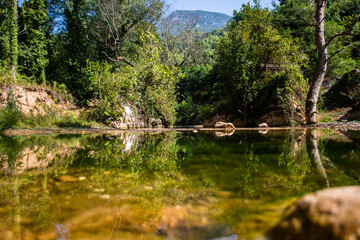 Fototapeta na wymiar Small rivers in the wooded areas of Alanya. Turkey