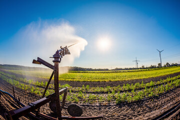 Field irrigation on a hot summer day