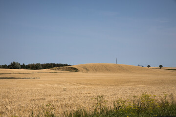 Obraz premium Scanian landscapes in late summer