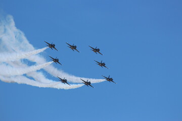ROKAF Black Eagles (5)