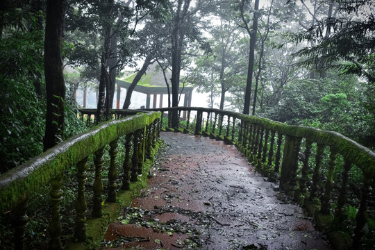 Road to heaven, jenukallugudda entrance path having greanery all around and mist fog.