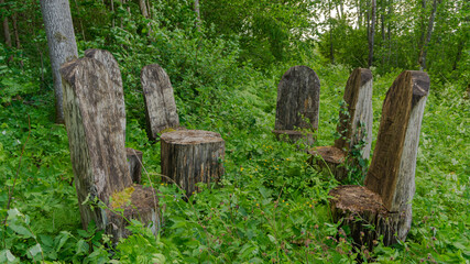 Chairs for relaxing in the forest. Chair table set. Wooden chairs in the forest