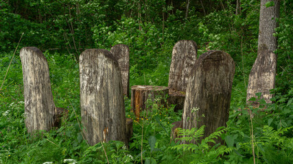 Chairs for relaxing in the forest. Chair table set. Wooden chairs in the forest