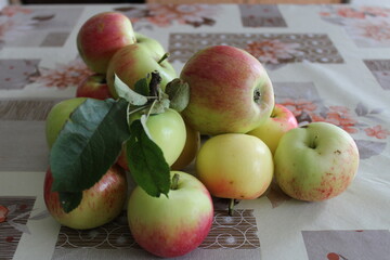 crop of apples