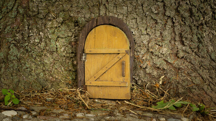 Little wooden fairy tale door in a tree trunk. fairytale forest house. Little rustic wooden fairy...