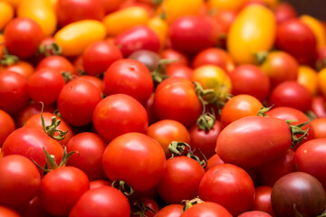 We see a tray of tomatoes that has been collected. Photo can be used as background.