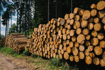 Brennholz im Wald aufgestapelt