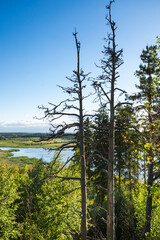 Kuhavuori mount in Sortavala