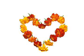 Heart of yellow and orange marigold flowers on a white background. Valentine's day. 