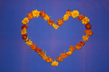 Heart of yellow, orange marigolds on a blue background. Valentine's day.