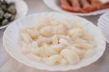 squid on a white plate to prepare a typical Spanish seafood paella