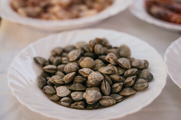 clams on a white plate to prepare a typical Spanish seafood paella