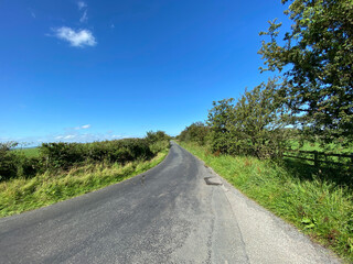 Fototapeta na wymiar View up, Bog Lane, leading to Stirton, with wild plants, trees and a vivid blue sky near, Skipton, Yorkshire, UK