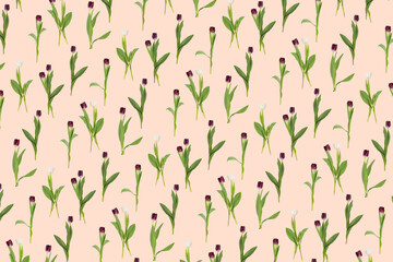 Pattern of flowers tulips on a pink background
