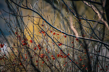 sunset in the autumn