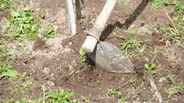farm workers working with hoes in agriculture field slow motion 4k