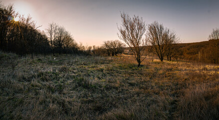 sunset in the field