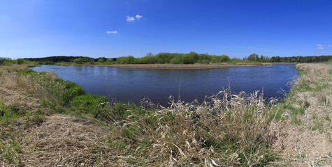 Meander of the Liwiec river, Mazovia, Poland - obrazy, fototapety, plakaty