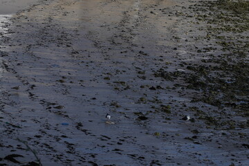 Beach in San Cibrao San Ciprian, coastal village of  Galicia, Spain
