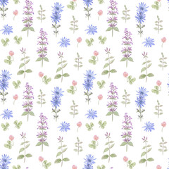 Seamless pattern with wildflowers - balm lemon, cornflower and clover. Hand-drawn elements, isolated white background. Perfect background for fabric, wallpapers and gift wrap. 