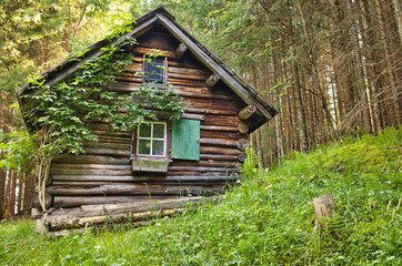 Fototapeta na wymiar Blockhütte im Wald