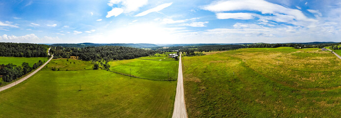 landscape with green grass and blue sky