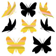 Set of colorful and black butterflies in sketch style on white background. Butterfly on white background for decoration