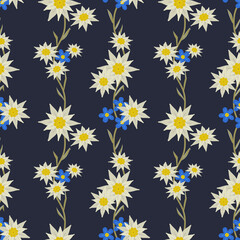 Floral hand drawn seamless pattern with edelweiss